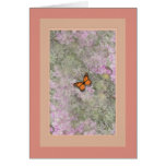 Butterfly ~ Lantana Flowers Greeting Card