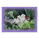 Butterfly-Lavendar edge Cards