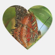 Butterfly Leopard Lacewing Cethosia Stickers