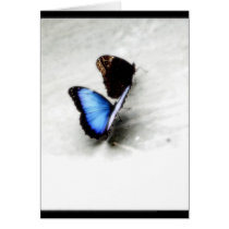 Butterfly Love cards
