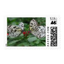 Butterfly Love