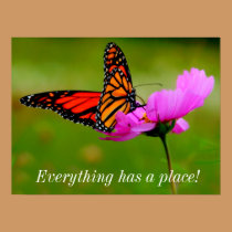 Butterfly love posters