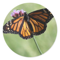 Butterfly Love stickers