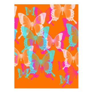 butterfly LsD in orange background