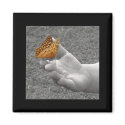 Butterfly magnets
