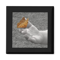 Butterfly magnets by scribbleprints Butterfly magnets