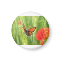 butterfly magnets by madibrooke123 butterfly magnets