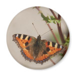 Butterfly Magnet