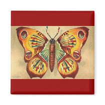 Butterfly magnets by MyOtherPlanet Butterfly magnets