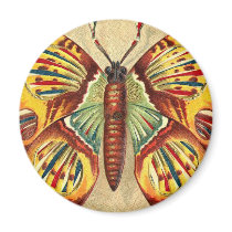 Butterfly magnets by MyOtherPlanet Butterfly magnets