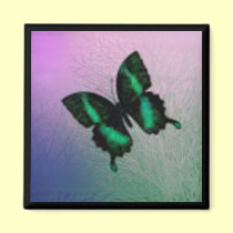Butterfly Magnet magnets