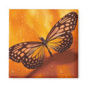 Butterfly Magnet