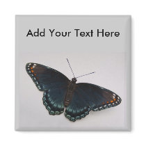 Butterfly Magnet by SuRi_Photography Butterfly Magnet