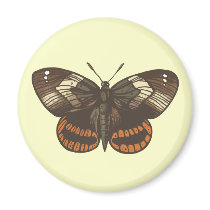 butterfly magnets