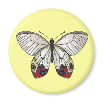 butterfly magnets