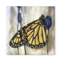 Butterfly magnet