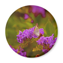 Butterfly Fridge Magnet