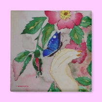 Butterfly magnets