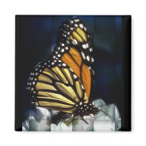 butterfly  magnet