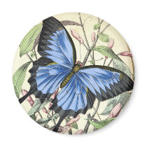 Butterfly Fridge Magnet