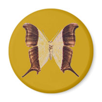 Butterfly Magnet