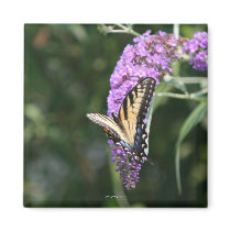 Butterfly magnet by jetkrazee Butterfly magnet