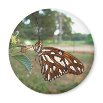 Butterfly Magnet magnets