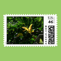 Butterfly Mimic postage