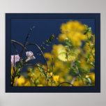 Butterfly Moment Canvas Print