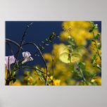 Butterfly Moment Poster posters