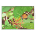 Butterfly / Mom's Day cards