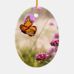 Butterfly - Monarach - The sweet life Ornaments