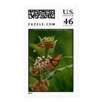 Butterfly / Monarch Stamps