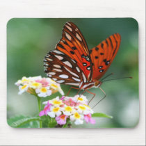 Butterfly Morning mousepads