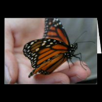Butterfly Mother's Day Card cards
