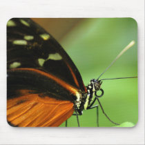 Butterfly Mouse mousepads by rdh1079 Butterfly Mouse mousepads