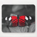 Butterfly Mousepad by cthier Butterfly Mousepad