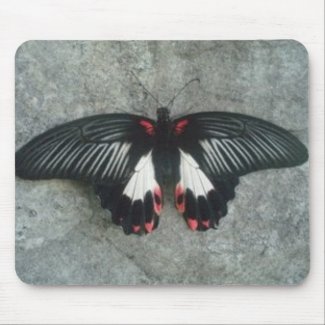 Butterfly mousepad