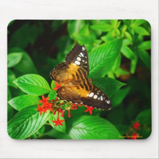 Butterfly-Mousepad mousepad