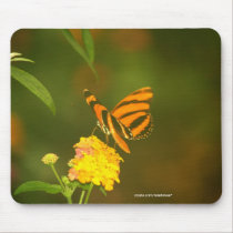 Butterfly Mousepad