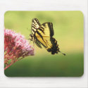 Butterfly Mousepad by sexycher Butterfly Mousepad