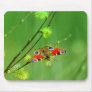 Butterfly Mouse Mats