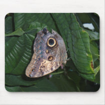 Butterfly mousepads