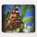 Butterfly mousepad