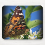 Butterfly mousepad
