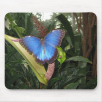 Butterfly Mousepad