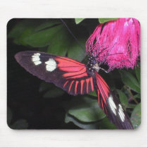Butterfly mousepad by PinkMonkey_8 Butterfly mousepad
