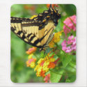 Butterfly mousepads by iiiyaaa Butterfly mousepads