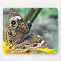 Butterfly mousepads