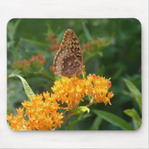 butterfly mousepads by amwesley butterfly mousepads